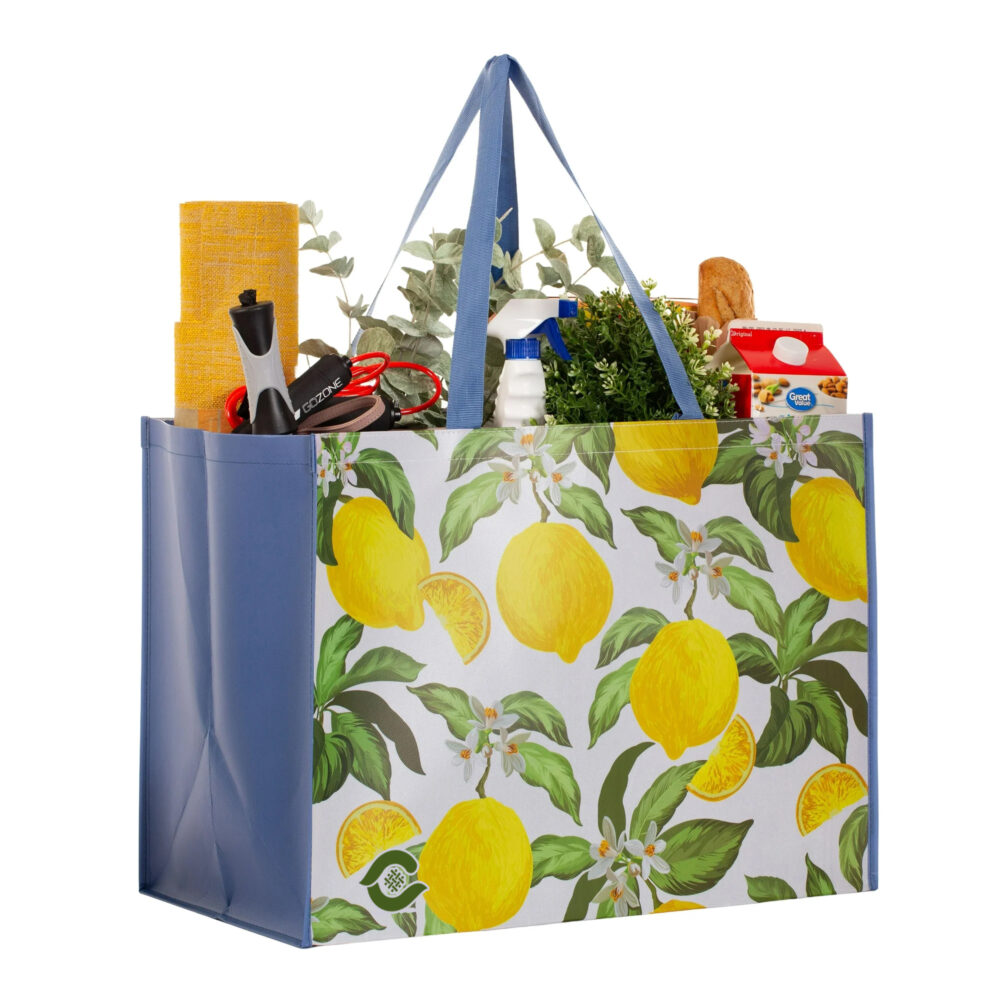 Shopping Bag